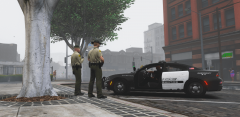 Typical LSPD